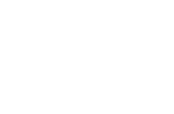 Magnetic Moments Logo